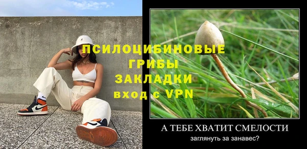 прущая мука Дмитров