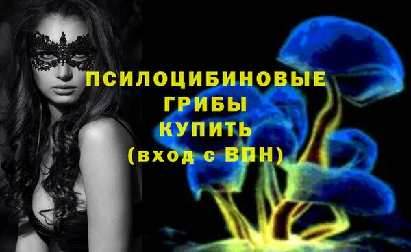 MDMA Дмитриев