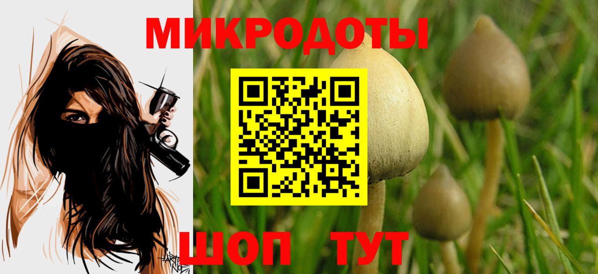 Галлюциногенные грибы MAGIC MUSHROOMS  Вход с VPN  Россия 
