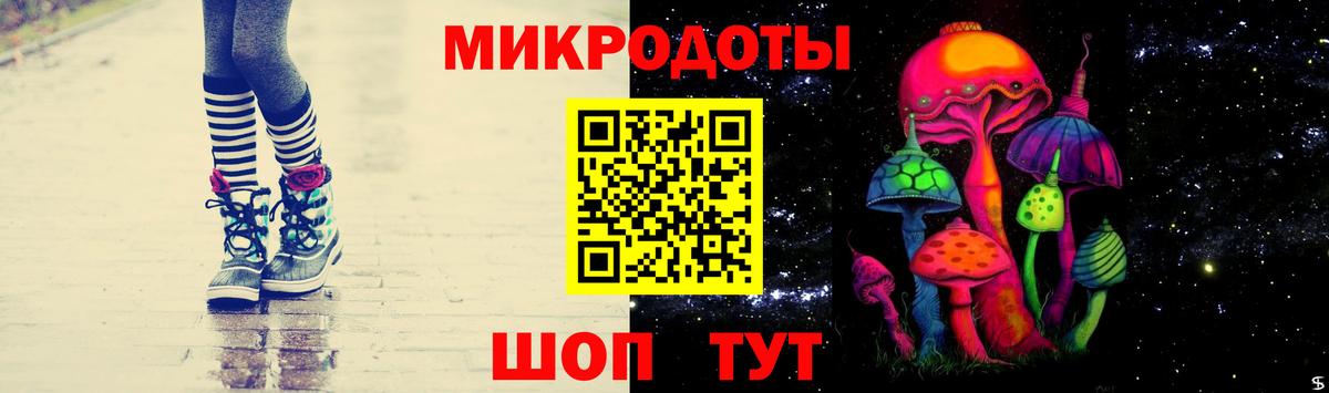 Псилоцибиновые грибы Psilocybine cubensis Россия